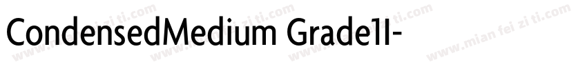 CondensedMedium Grade1I字体转换